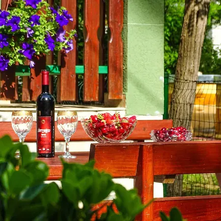 Vakantiehuis Skadar House *